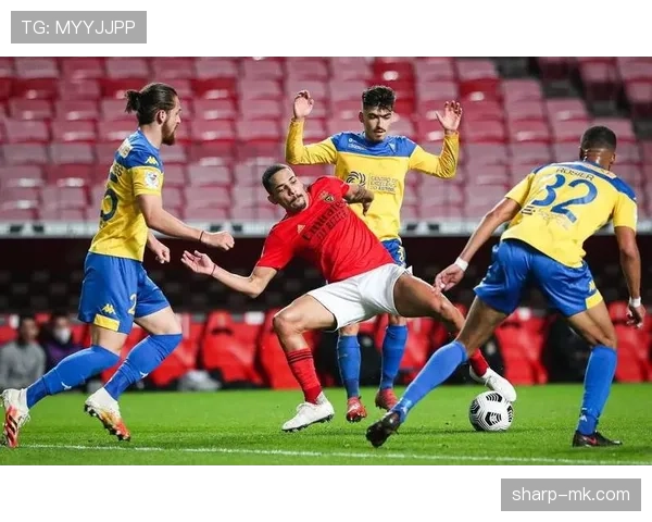 本菲卡强势领跑国内联赛，展现争冠实力引关注