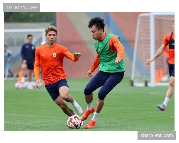 球队战术演练成效显著，备战新赛季信心稳步提升