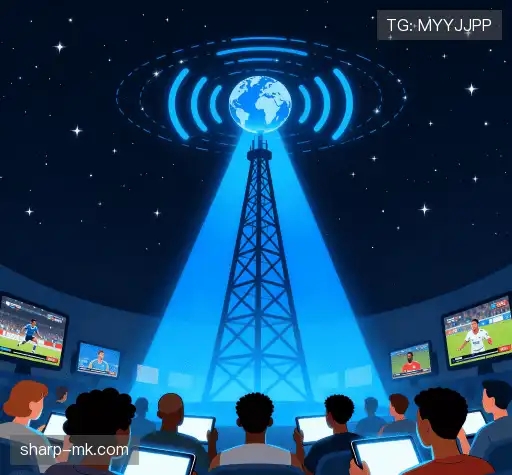 我们胜出的理由